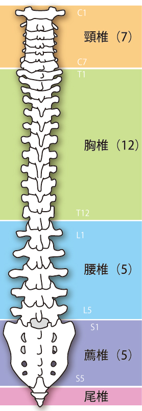 当院の自律神経失調症へのアプローチとは