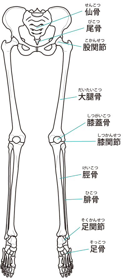 当院のオスグッドへのアプローチとは