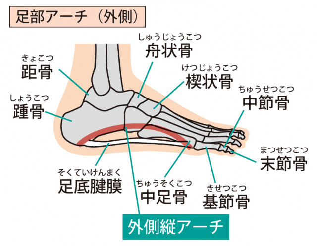 当院の外反母趾へのアプローチとは