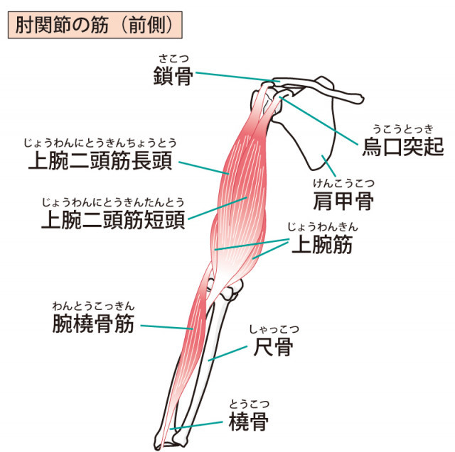 ゴルフ 肘