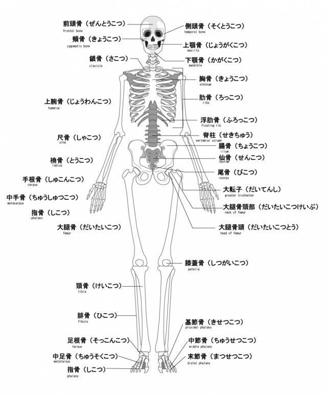 当院の膝痛へのアプローチとは